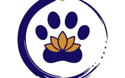 L’application Inspiration Yoga : prolonger l’expérience du studio au-delà du tapis